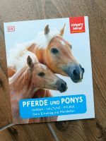 Pferde und Ponys Niedersachsen - Wendeburg Vorschau