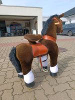 Lauf Pony Braun Niedersachsen - Salzgitter Vorschau