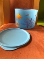 Tupperware Meerestiere blau 13x 15 Thüringen - Dorndorf Vorschau