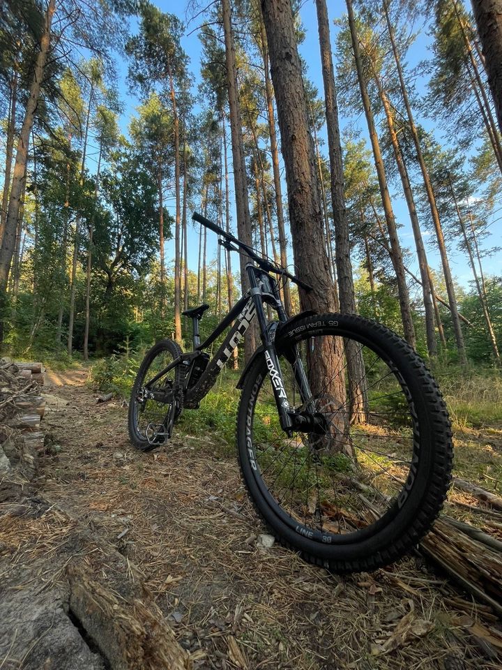 Scott Gambler Tuned Downhill (Custom) in Saale-Holzland-Kreis