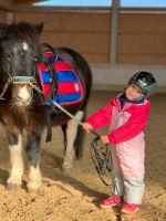 Kinderreitunterricht Reitunterricht für Kinder mit/ohne Handicap​ Baden-Württemberg - Rot an der Rot Vorschau