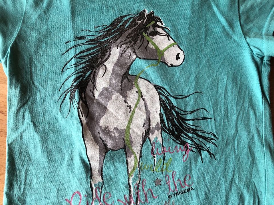 TRIGEMA T-Shirts 1.Hand Pferd Glitzer Pony 100% Baumwolle 110/116 in  Baden-Württemberg - Freiamt | eBay Kleinanzeigen ist jetzt Kleinanzeigen