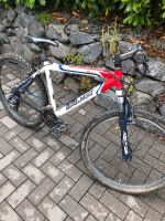 MTB Bergamont Hardtail 26zoll Rheinland-Pfalz - Bendorf Vorschau