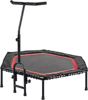 FA Sports Unisex – Erwachsene Fit Indoor Fitness Trampolin, Bayern - Schwindegg Vorschau