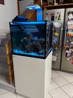 Aquarium RedSea Reever XL200 Baden-Württemberg - Waibstadt Vorschau