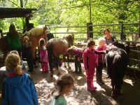 Ferienspaß Sommerferien auf dem Ponyhof für Kids ab 4 Jahre Nordrhein-Westfalen - Solingen Vorschau