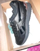 Reebok Royal gilde Nordrhein-Westfalen - Düren Vorschau