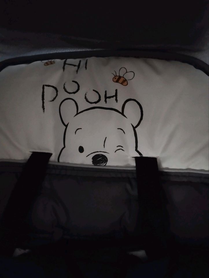 Kombikinderwagen "Winnie Pooh" design in Brehna