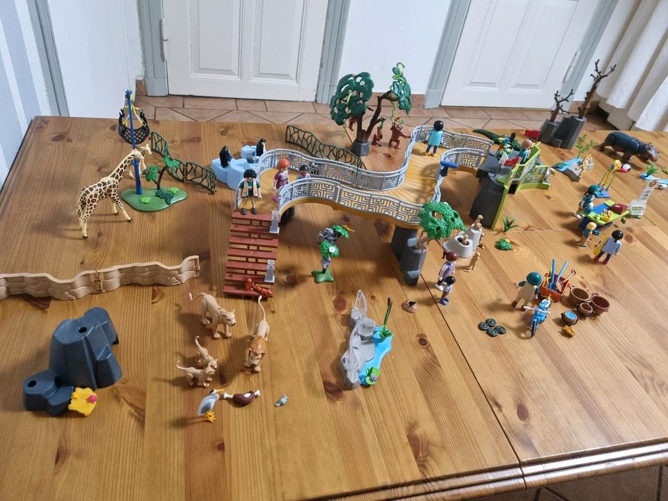 Playmobil Zoo in Carlow