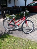 Pegasus Kinderfahrrad Fahrrad 28 zoll Gangschaltung Sachsen - Zwickau Vorschau