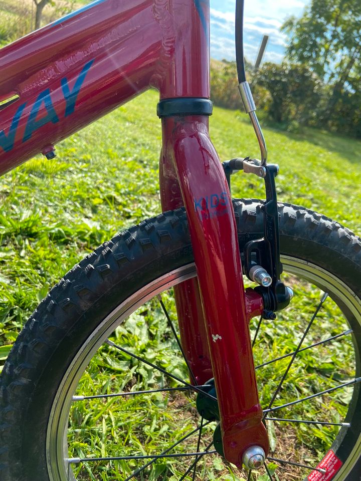 Kinder Mountainbike- Fahrrad-Conway MS160 weinrot Mädchen, Junge in Mülsen