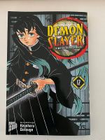 9€ INKL. VERSAND demon slayer Manga ~ 12 Hessen - Driedorf Vorschau