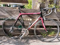 Stevens SCF Carbon Rennrad, 56cm, Campagnolo, Ultra Torque Bayern - Lenggries Vorschau