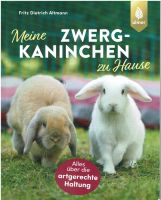 Mein Zwergkaninchen zu Hause Alles über die artgerechte Haltung Niedersachsen - Oldenburg Vorschau