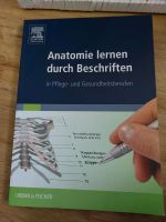 Anatomie Bücher und Physiotherapie Bücher Niedersachsen - Buchholz in der Nordheide Vorschau