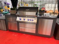 Outdoorküche Napoleon Oasis  BIG32, Grillstation mit Heckbrenner Nordrhein-Westfalen - Steinheim Vorschau