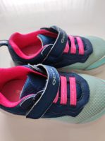 Geox Kinderschuhe/ Sneaker gr.27 Nordrhein-Westfalen - Paderborn Vorschau