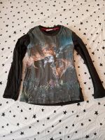 Langarmshirt Jurassic Park H&M 110/116 Sachsen - Chemnitz Vorschau