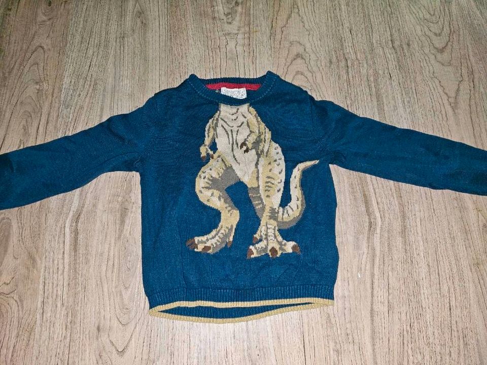 Kinderkleidung Pullover Hose Dinosaurier dino 98/104 paket in Naunhof