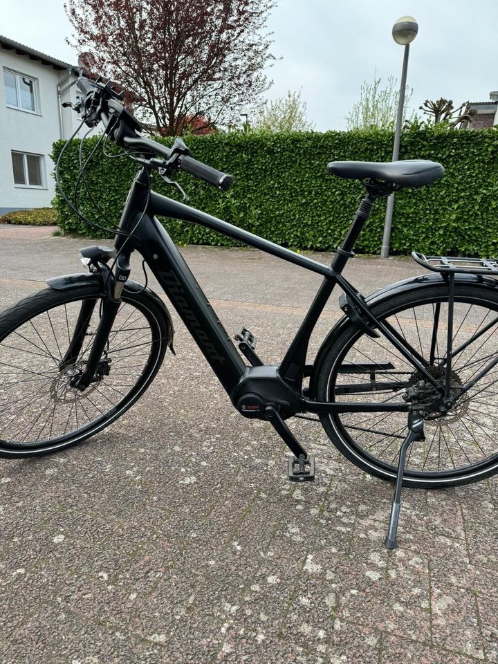 E-Bike Diamant in Recklinghausen