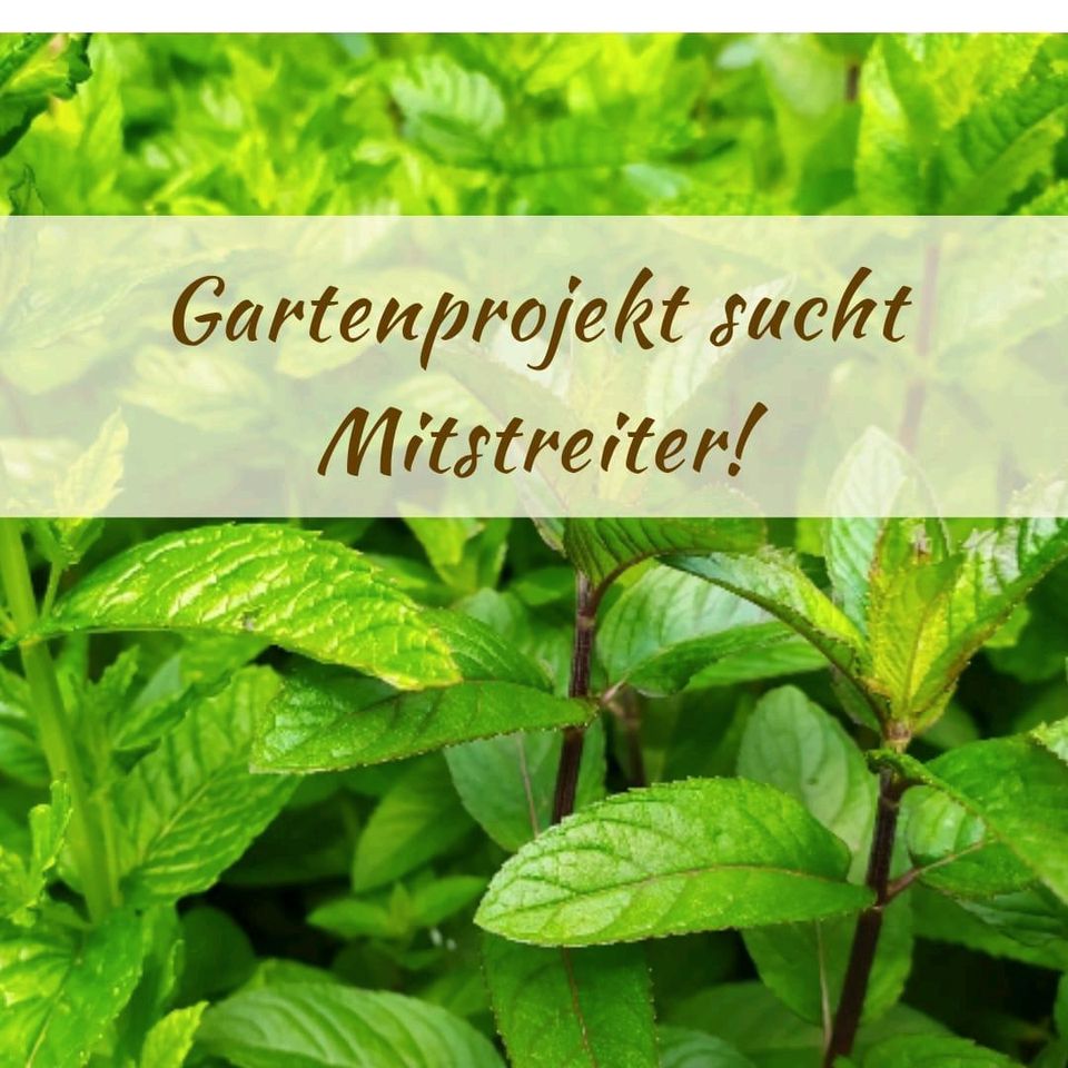 Gartenprojekt sucht Mitstreiter in Barntrup