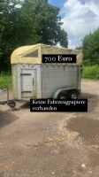 Viehanhänger Lager, Auflösung Niedersachsen - Salzhemmendorf Vorschau