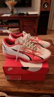 Puma Fußball Hallen Schuhe Berlin - Treptow Vorschau