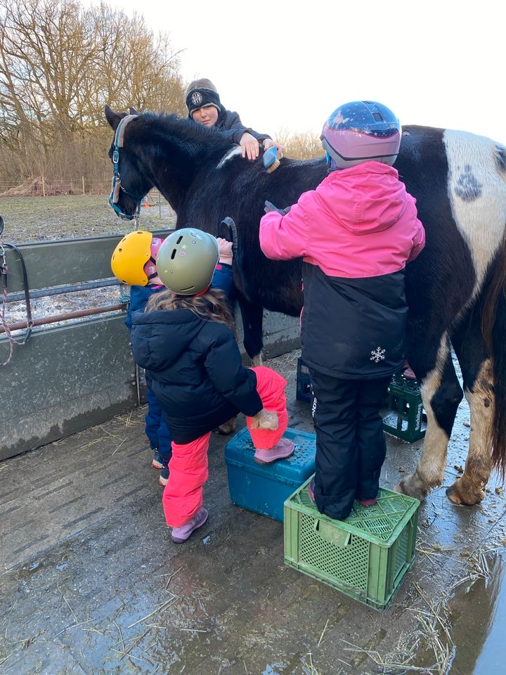 Kinderreitstunden von 3-12 Jahren in Pocking