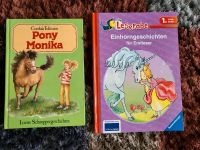 Einhorngeschichten , Pony Monika Erstleser oder zum Vorlesen Thüringen - Bad Lobenstein Vorschau