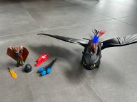 Playmobil Dragons Hessen - Solms Vorschau