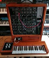 Formant Synthesizer modular und vintage original aus den 80er Rheinland-Pfalz - Neustadt (Wied) Vorschau
