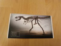 Dinosaurier dino Museum Park Altmühltal Ticket Gutschein Kind Bayern - Markt Schwaben Vorschau