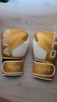 Box Handschuhe Sachsen-Anhalt - Bernburg (Saale) Vorschau