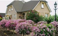 Suchen  Grundstück / Haus / Resthof / Bauernhof Niedersachsen - Lengede Vorschau