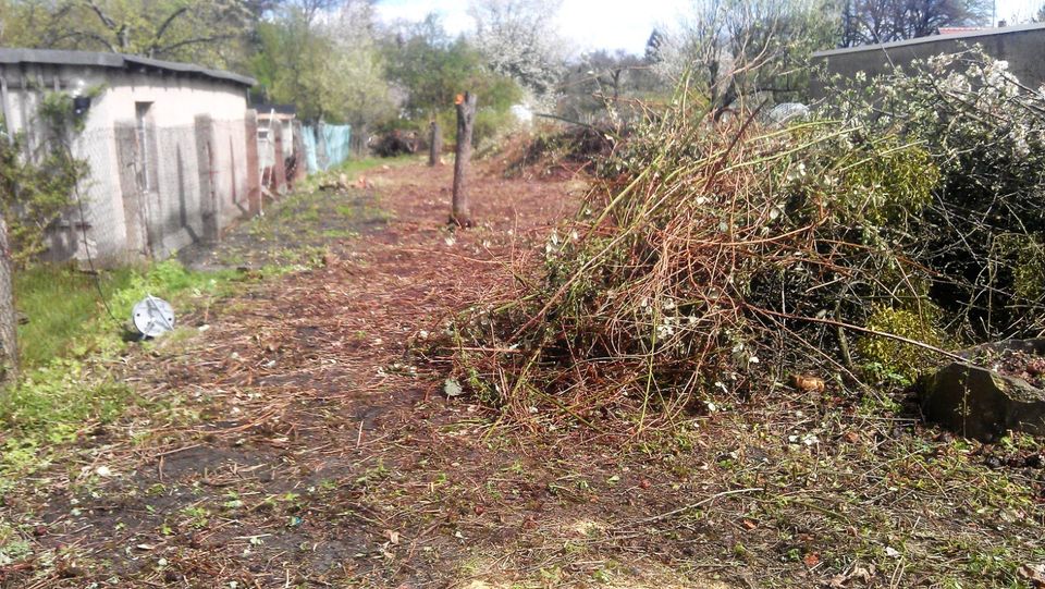 Verwilderten Garten neu gestalten: Astschretter-Stubbenfräse- usw in Senftenberg