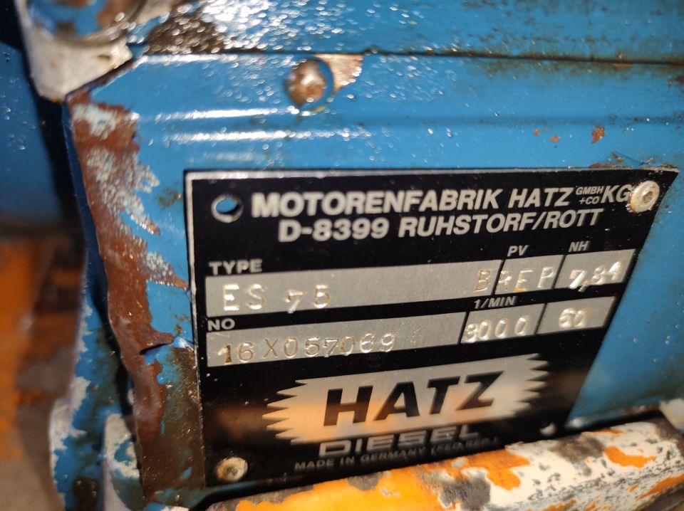 Rüttelplatte Hatz ES 75 mit Anhänger in Hamburg