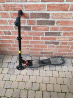 Air Surfer Roller Wave Scooter Klapproller Nordrhein-Westfalen - Sassenberg Vorschau