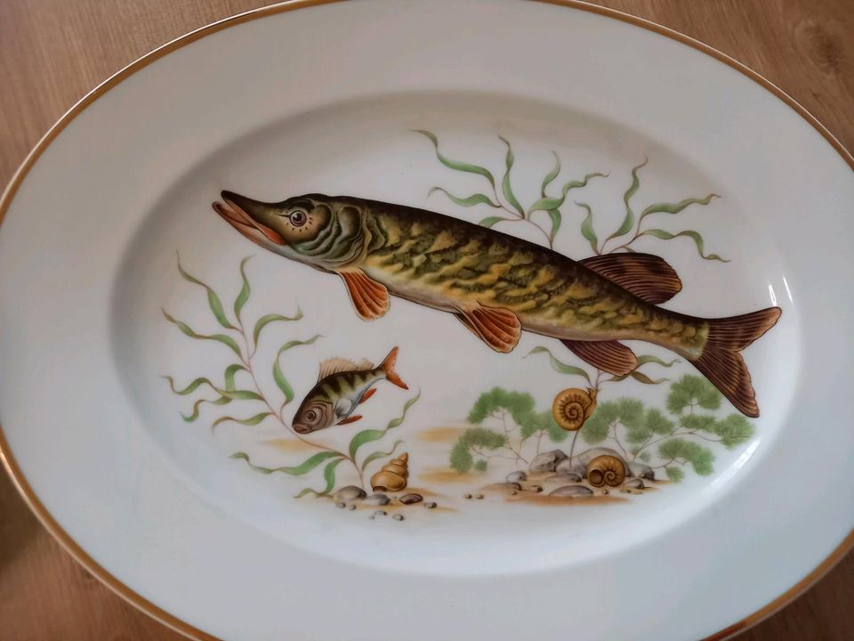 Fischservice Geschirr mit 6 Tellern, Servierplatte, Suppentopf in Landshut