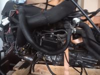 Getriebe FIAT Ducato 2,8 L Sachsen-Anhalt - Kabelsketal Vorschau