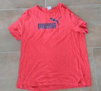 Puma T-Shirt Nordrhein-Westfalen - Euskirchen Vorschau