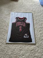 Originales NBA Trikot - Chicago Bulls - D. Rose - Nummer 1 - M Nürnberg (Mittelfr) - Kleinreuth b Schweinau Vorschau