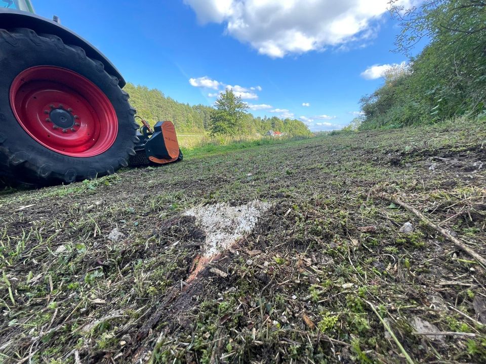 Heckmulcher / Forstmulcher TMC-Cancela Typ TMH 220 in Hollenbach