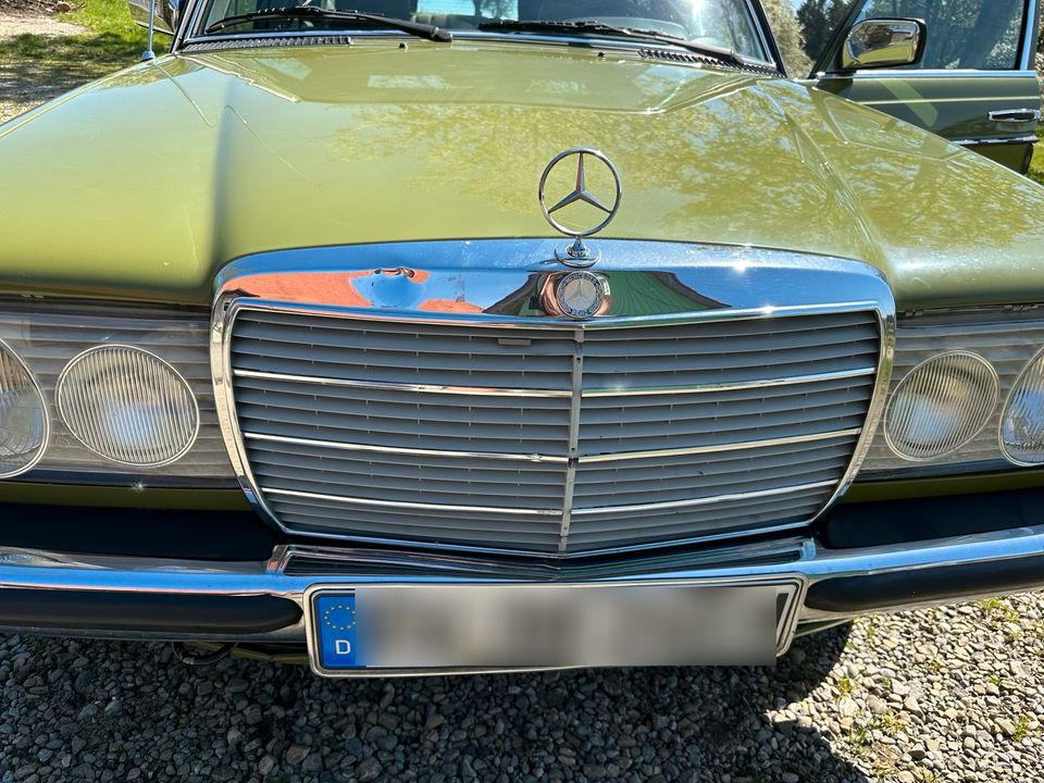 123 240d Benz in Tettnang