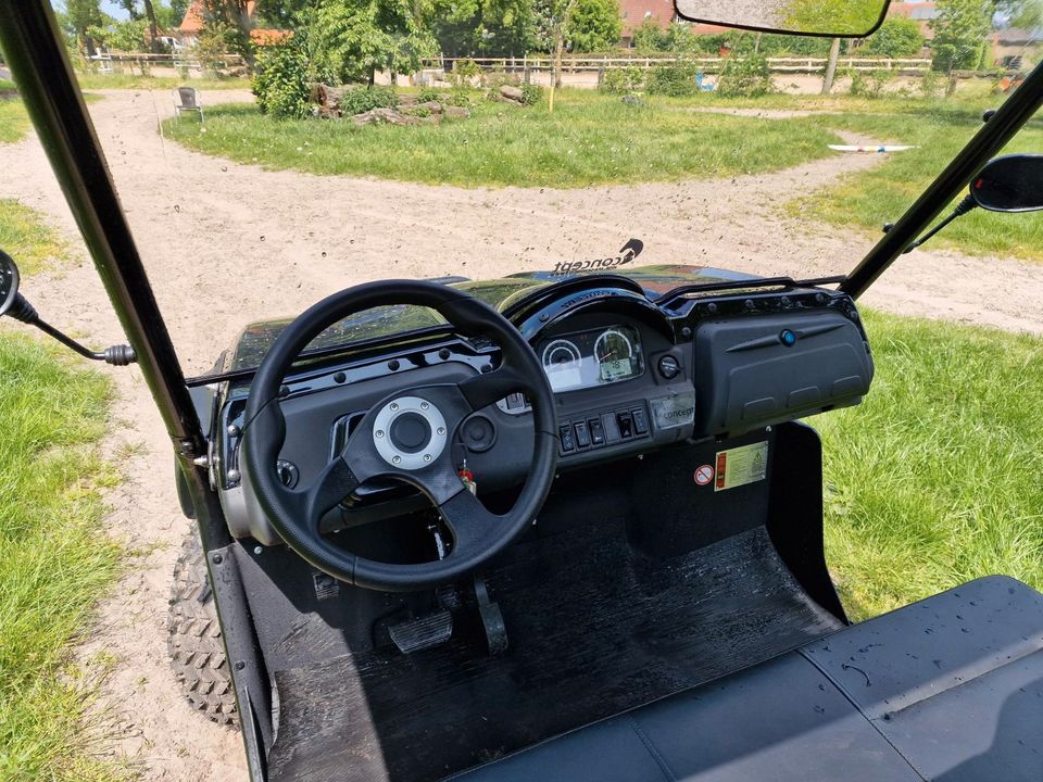 ABVERKAUF | Frisian FM-55 | Elektro | XUV, ATV, Gator, RTV | NEU in Neuenkirchen - Merzen