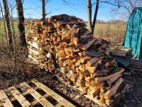 Brennholz Hartholz Eiche Linde Meterstücke Scheitholz Mischung Bayern - Offingen Vorschau