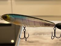 ILLEX Bonnie 95 Topwater Bait NEU Farbe GHOST MINNOW Nordrhein-Westfalen - Gangelt Vorschau