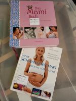 Mami Buch     Meine Schwangerschaft Nordrhein-Westfalen - Kirchhundem Vorschau