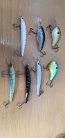 Hardbaits Zanderwobbler Crankbait twitchbait Bayern - Ingolstadt Vorschau