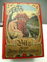 Bilz,  -Das neue Naturheilverfahren-  von 1902(?)  Mill.Jub.ausg. Rheinland-Pfalz - Feilbingert Vorschau