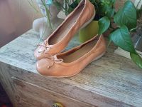 Deerberg,  Caprice Ballerina gr.41, Leder, Lagenlook Nordrhein-Westfalen - Recke Vorschau